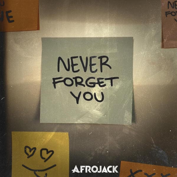 AFROJACK - NEVER FORGET YOU (RADIO EDIT)