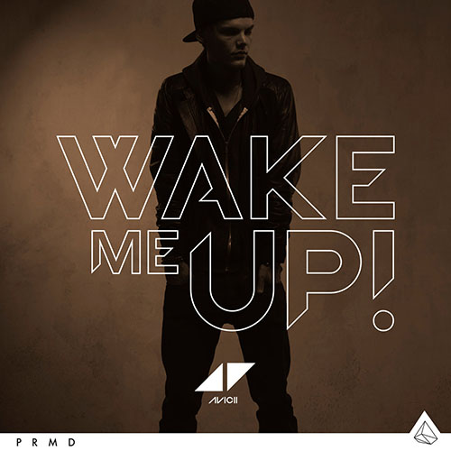 AVICII - WAKE ME UP (RADIO EDIT)