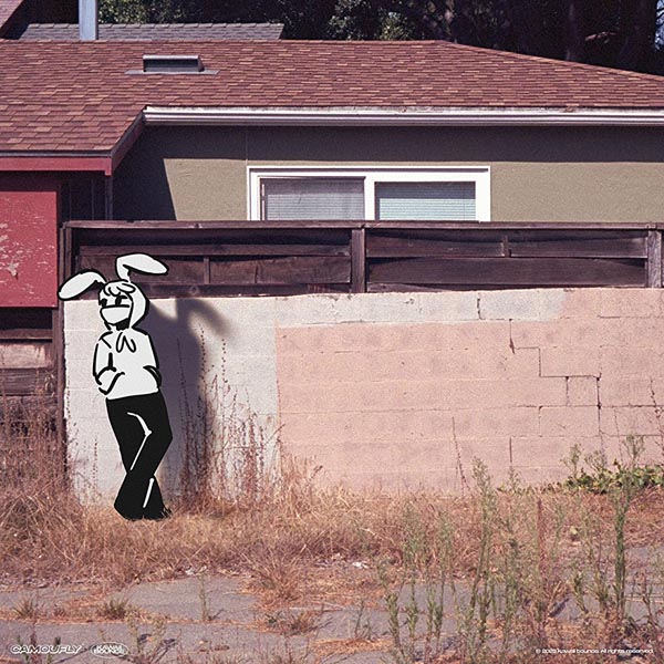 CAMOUFLY - EARTHBOUND