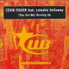 CEVIN FISHER/LOLETTA HOLLOWAY - YOU GOT ME BURNING UP (RADIO EDIT)