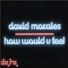 DAVID MORALES - HOW WOULD U FEEL (PETER RUHOFER RADIO EDIT)