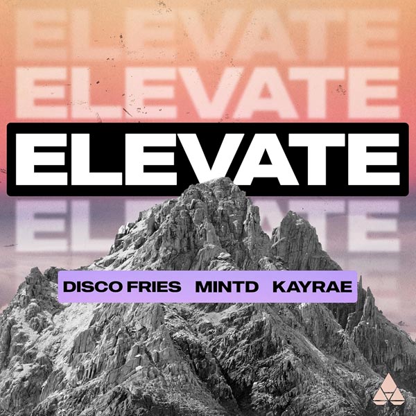 DISCO FRIES X MINTD, KAYRAE - ELEVATE