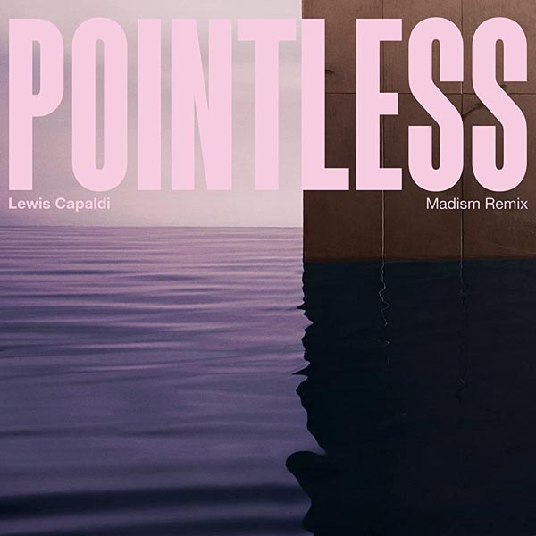 LEWIS CAPALDI - POINTLESS (MADISM REMIX)