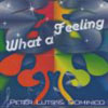 PETER LUTS/DOMINICO - WHAT A FEELING