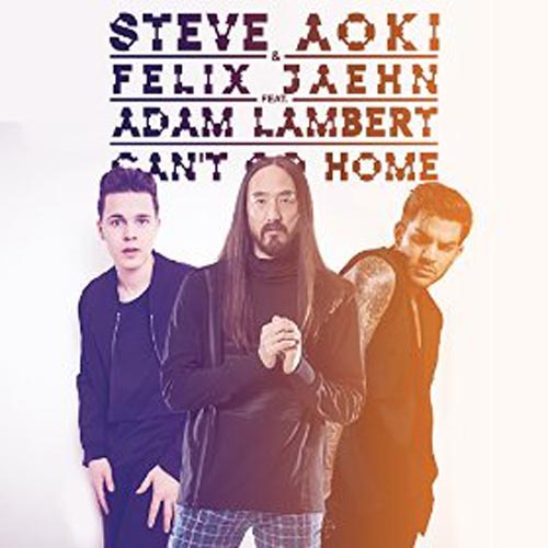 STEVE AOKI and FELIX JAEHN f/ ADAM LAMBERT - CAN`T GO HOME (RADIO EDIT)