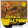 THE PSYCHEDELIC WALTONS - WONDERLAND (VOCAL MIX)