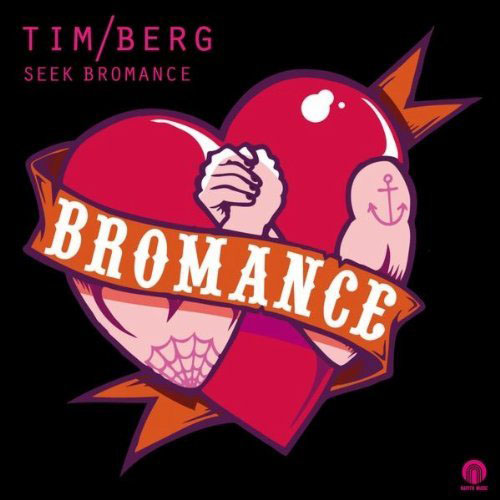 TIM BERG f/ AMANDA WILSON - SEEK BROMANCE (AVICII VOCAL RADIO EDIT)