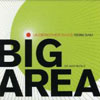 UNDERCOVER DIVAS - BIG AREA (RADIO EDIT)